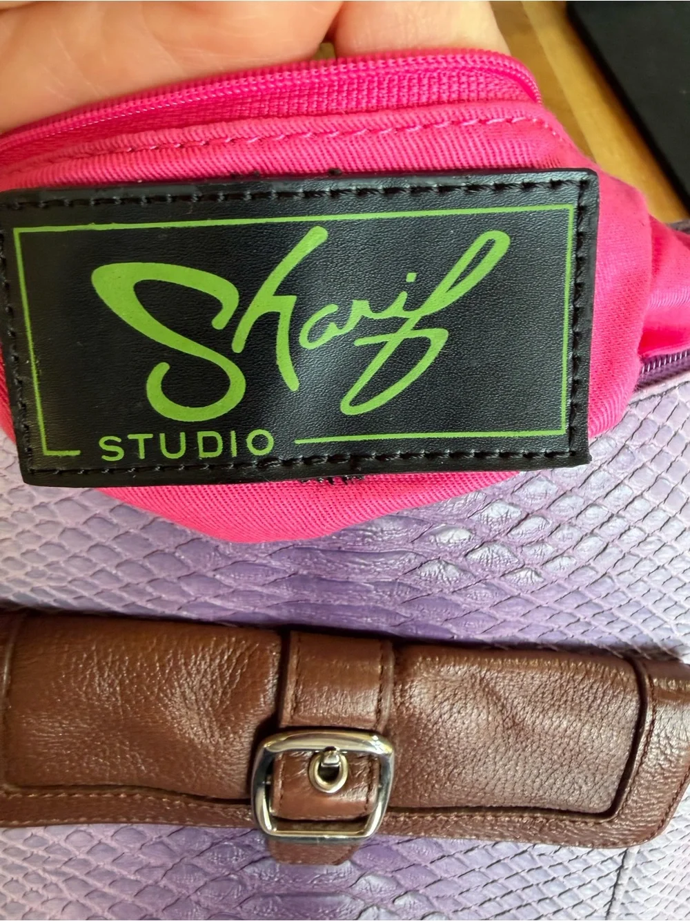 Sharif Studio Vintage Y2K Boho Ombre Python Embossed Leather‎ Hobo Bag GUC